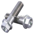 stainless steel 316 flange bolt